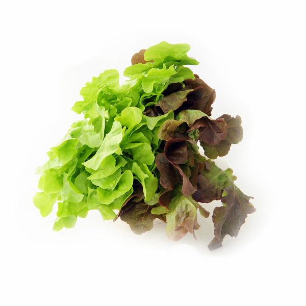 presentaci&oacute;n de lechugas