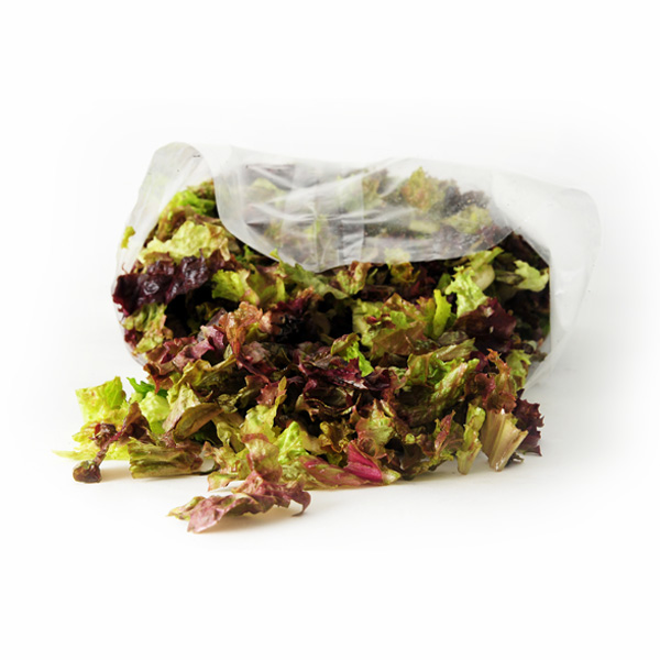 presentaci&oacute;n de acelga