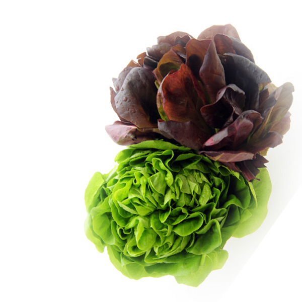 presentaci&oacute;n de lechuga morada